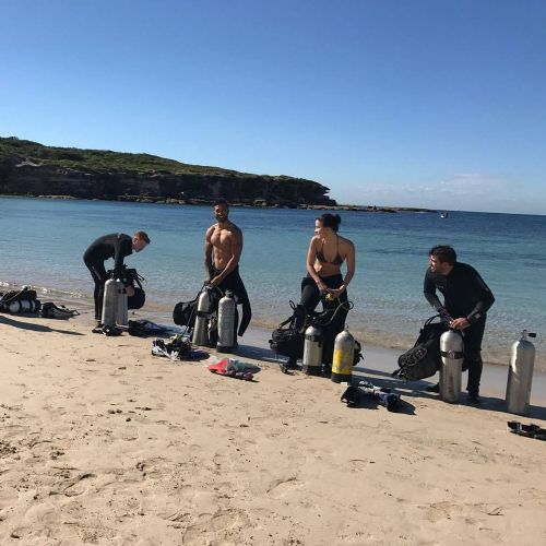 Sydney Shore Dive with Full Hire Voucher